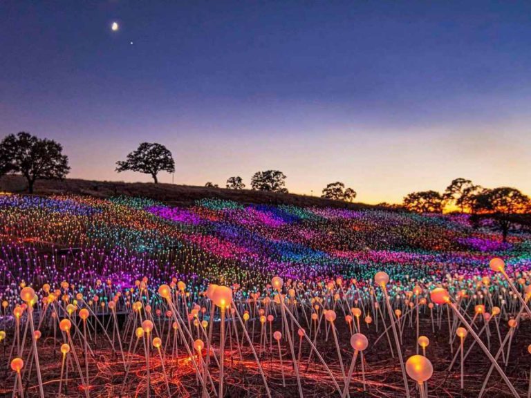 light-field-california