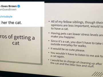 Daughter PowerPoint Presentation Cat Adoption