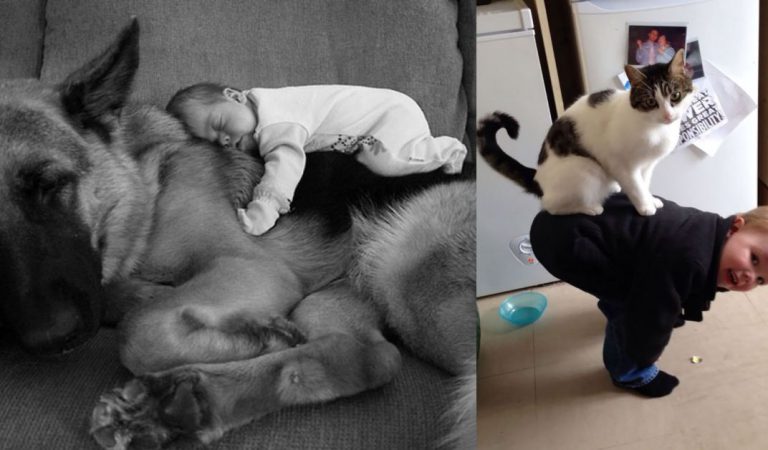 15 Pictures That Prove Children And Pets Belong Together