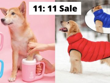Ali Express Single Day Sale Best Deals