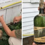 Whiskey_from_bootlegger's_house