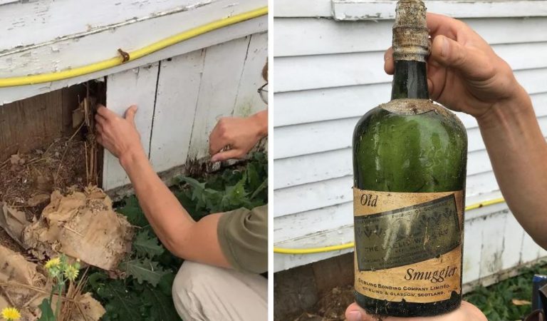 Couple Finds Over 60 Bottles Of Smuggled Whiskey From Their Century-Old House