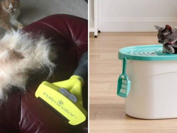 Most Helpful 17 Cat Accessories, Toys, & Tools For Cat Parents Needs! (FI