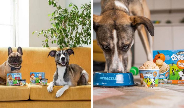 Ben & Jerry’s Introduces A New Line Of Yummy Frozen Doggie Desserts For Your Pooch