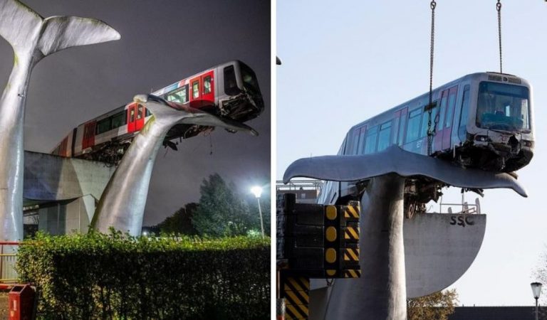 Art To The Rescue: 20-Year-Old Whale Sculpture Saves Subway From Crashing Into The Water
