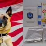 The US Customs and Border Protection said they discovered 44 pounds of "cocaine-coated" corn flakes