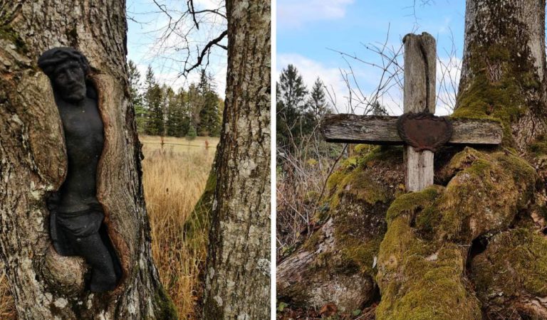 Beautiful Sculpture Of Jesus In An Abandoned Cemetery Is Slowly Becoming One With Nature