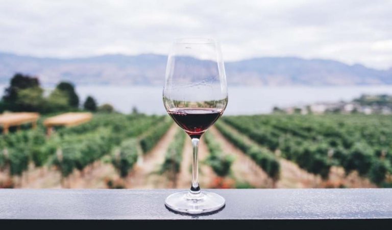 A Winery Will Pay $10,000 A Month To Live There For Free & Drink Wine For A Year