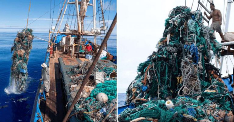 Hawaiian Crew Set A New Record For Removing Plastic From The Great Pacific FI