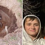 2 Teen Brothers Save A Raccoon That Was Buried Alive In South Canyon FI